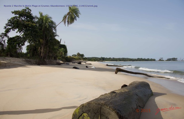 163 Nyonie 2 Marche le Matin Plage et Grumes Abandonnees 15E5K3IMG_114652wtmk.JPG