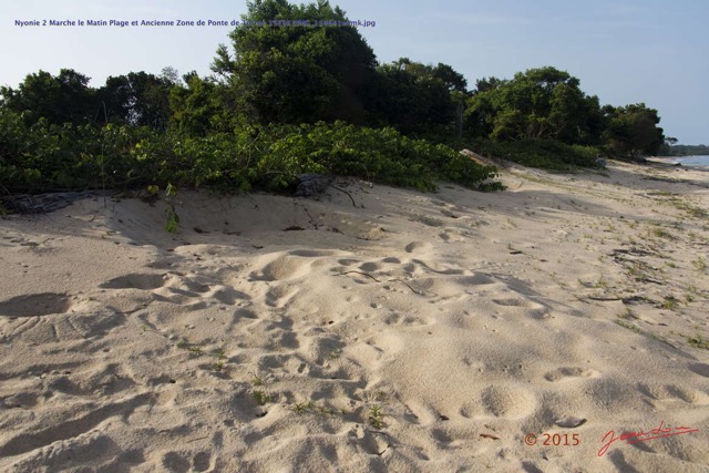 164 Nyonie 2 Marche le Matin Plage et Ancienne Zone de Ponte de Tortue 15E5K3IMG_114641wtmk.JPG