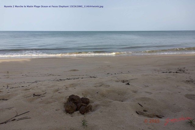 167 Nyonie 2 Marche le Matin Plage Ocean et Feces Elephant 15E5K3IMG_114644wtmk.JPG