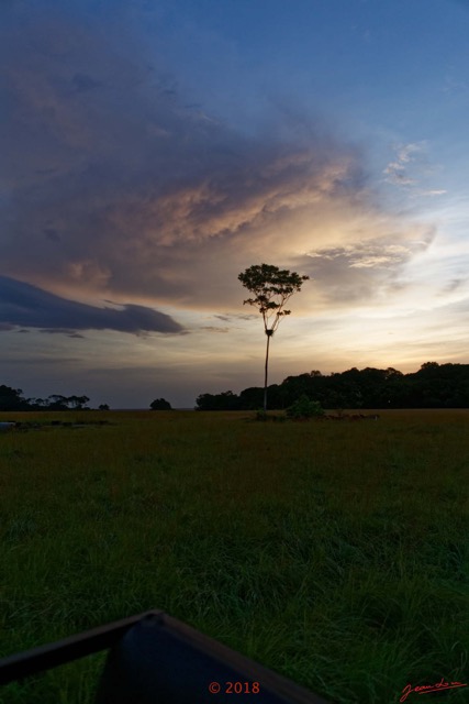 113 NYONIE 3 la Piste la Savane Coucher de Soleil et Arbre 18E5K3IMG_180224126682_DxOwtmk.jpg