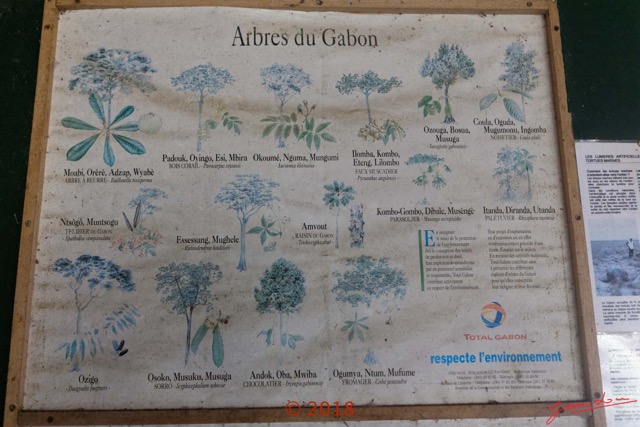 193 NYONIE 3 le Campement Poster Arbres 18E5K3IMG_180224126852_DxOwtmk.jpg