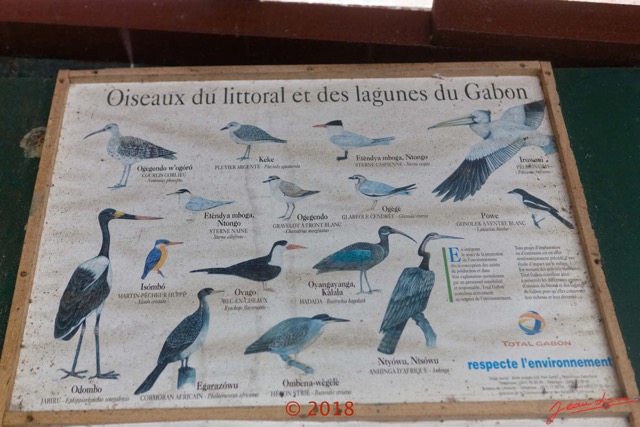 194 NYONIE 3 le Campement Poster Oiseaux 18E5K3IMG_180224126853_DxOwtmk.jpg