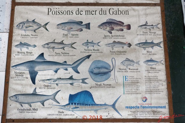 197 NYONIE 3 le Campement Poster Poissons de Mer 18E5K3IMG_180224126856_DxOwtmk.jpg
