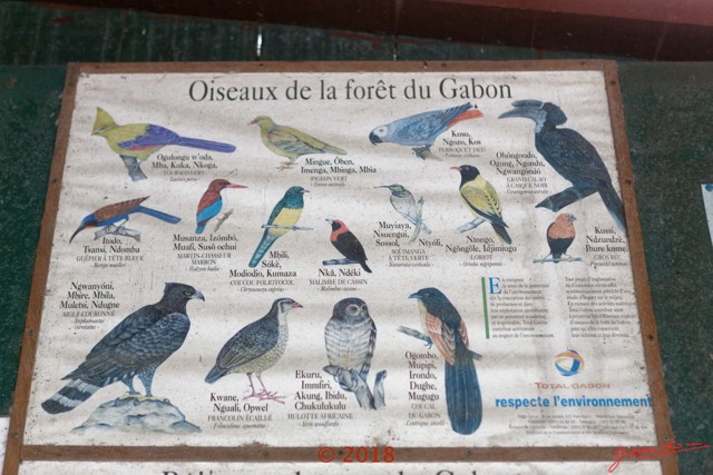 198 NYONIE 3 le Campement Poster Oiseaux 18E5K3IMG_180224126857_DxOwtmk.jpg
