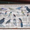 198 NYONIE 3 le Campement Poster Oiseaux 18E5K3IMG_180224126857_DxOwtmk.jpg