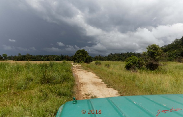 199 NYONIE 3 le Retour Piste Savane et Orage 18E5K3IMG_180224126858_DxOwtmk.jpg