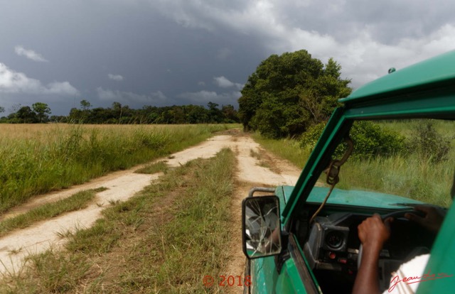 200 NYONIE 3 le Retour Piste Savane et Orage 18E5K3IMG_180224126860_DxOwtmk.jpg