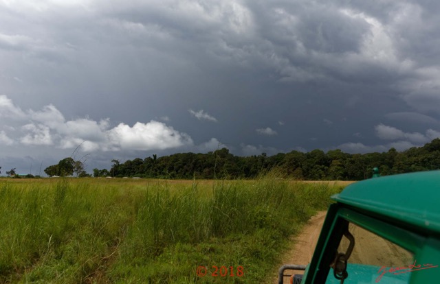 201 NYONIE 3 le Retour Piste Savane et Orage 18E5K3IMG_180224126862_DxOwtmk.jpg