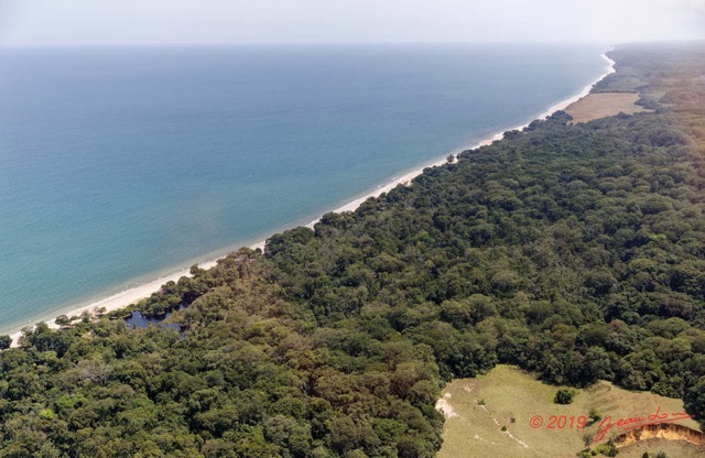 040 AWAGNE 1 ULM Survol Foret et Ocean 19E5M3IMG_190421150078_DxOwtmk 150k.jpg