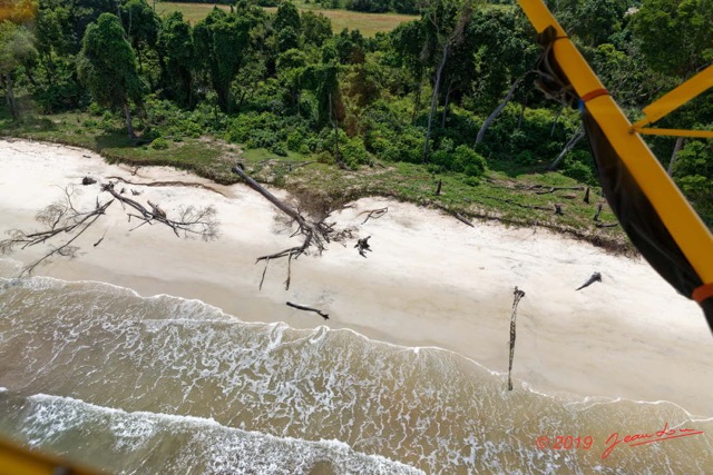 050 AWAGNE 1 ULM Survol Plage avec Arbres Morts 19E5M3IMG_190421150130_DxOwtmk 150k.jpg