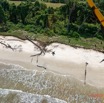 050 AWAGNE 1 ULM Survol Plage avec Arbres Morts 19E5M3IMG_190421150130_DxOwtmk 150k.jpg