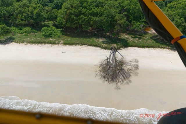 051 AWAGNE 1 ULM Survol Plage avec Arbre Mort 19E5M3IMG_190421150137_DxOwtmk 150k.jpg