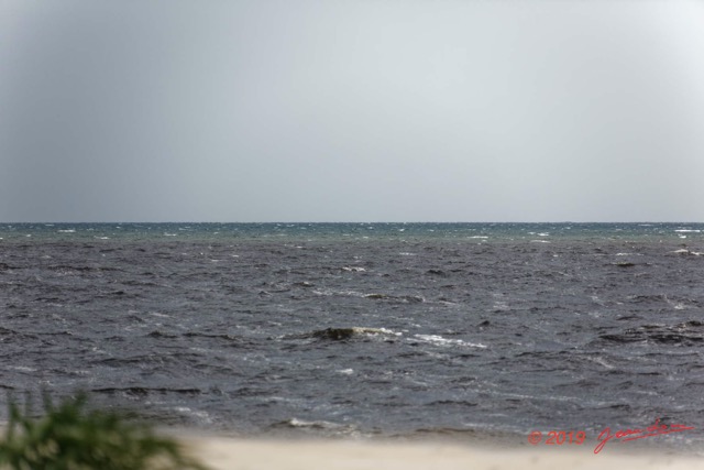 115 AWAGNE 1 Ocean et Couleurs 19E5M3IMG_190421150526_DxOwtmk 150k.jpg