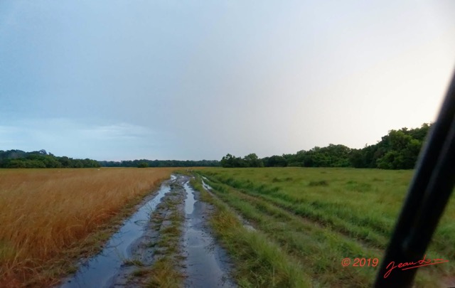 123 AWAGNE 1 Piste vers Marecage le Soir 19E5M3IMG_190421150557_Nik_DxOwtmk 150k.jpg
