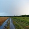 123 AWAGNE 1 Piste vers Marecage le Soir 19E5M3IMG_190421150557_Nik_DxOwtmk 150k.jpg