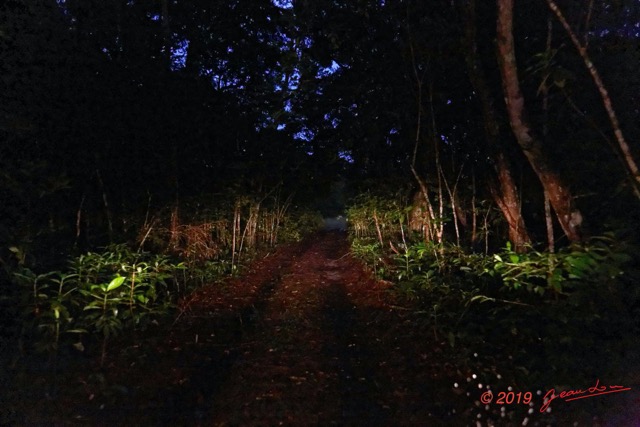 124 AWAGNE 1 Piste vers Marecage le Soir 19E5M3IMG_190421150563_DxOwtmk 150k.jpg