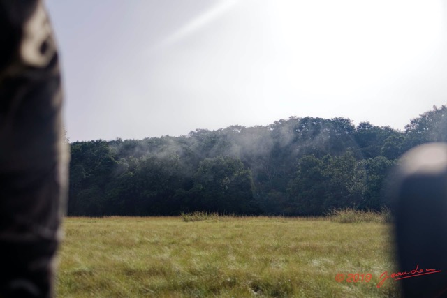 143 AWAGNE 1 Savane et Nuages 19E5M3IMG_190422150645_DxOwtmk 150k.jpg