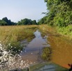 144 AWAGNE 1 Piste vers le Lac et Bourbier 19E5M3IMG_190422150647_DxOwtmk 150k.jpg