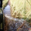 145 AWAGNE 1 Piste vers le Lac et Bourbier 19E5M3IMG_190422150649_DxOwtmk 150k.jpg