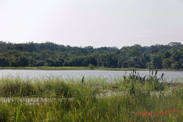 147 AWAGNE 1 le Lac 19E5M3IMG_190422150665_DxOwtmk 150k.jpg