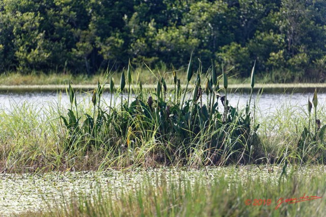 148 AWAGNE 1 le Lac 19E5M3IMG_190422150667_DxOwtmk 150k.jpg