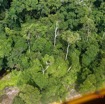 200 AWAGNE 1 ULM Retour Survol de la Foret avec Ombre 19E5M3IMG_190422150956_DxOwtmk 150k.jpg