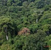 203 AWAGNE 1 ULM Retour Survol Foret avec Arbre Rouge 19E5M3IMG_190422150977_DxOwtmk 150k.jpg