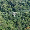204 AWAGNE 1 ULM Retour Survol Foret avec Arbre Mort 19E5M3IMG_190422150991_DxOwtmk 150k.jpg