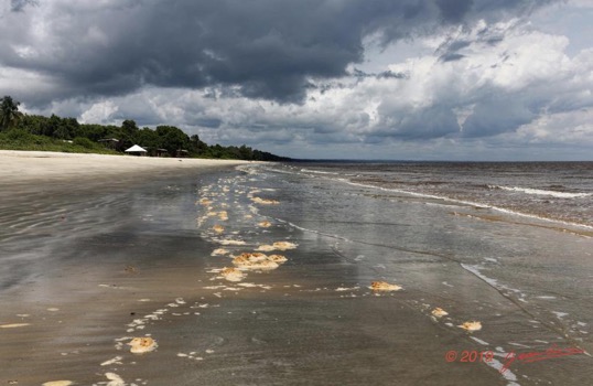 AWAGNE 1 la Plage sous Orage 19E5M3IMG_190421150484_DxOwtmk 77k-Web