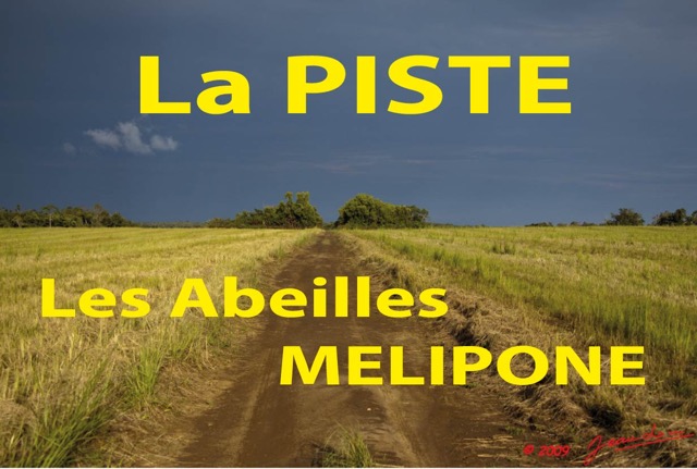 020 Titre Photos Piste Abeilles Melipone.jpg