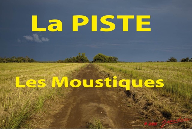 027 Titre Photos Piste Moustiques.jpg