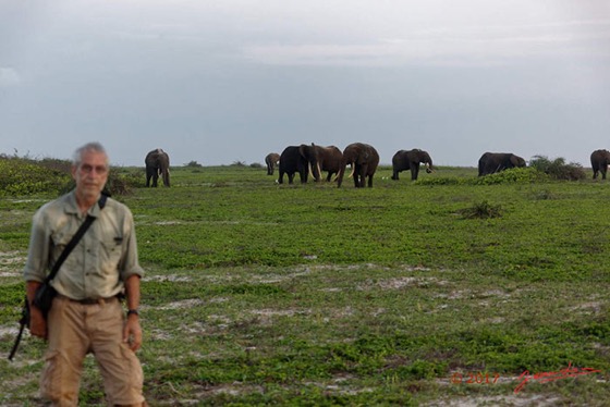 103-LOANGO-3-Inyoungou-Sounga-la-Lagune-NDOGO-la-Plage-Horde-Elephants-et-JLA-16E5K3IMG_122332_DxOawtmk-Web